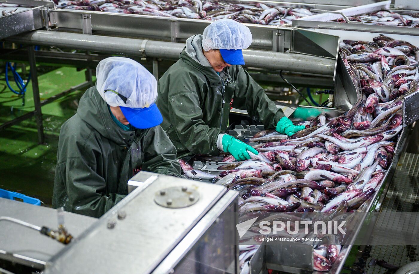 Russia Fishing Industry