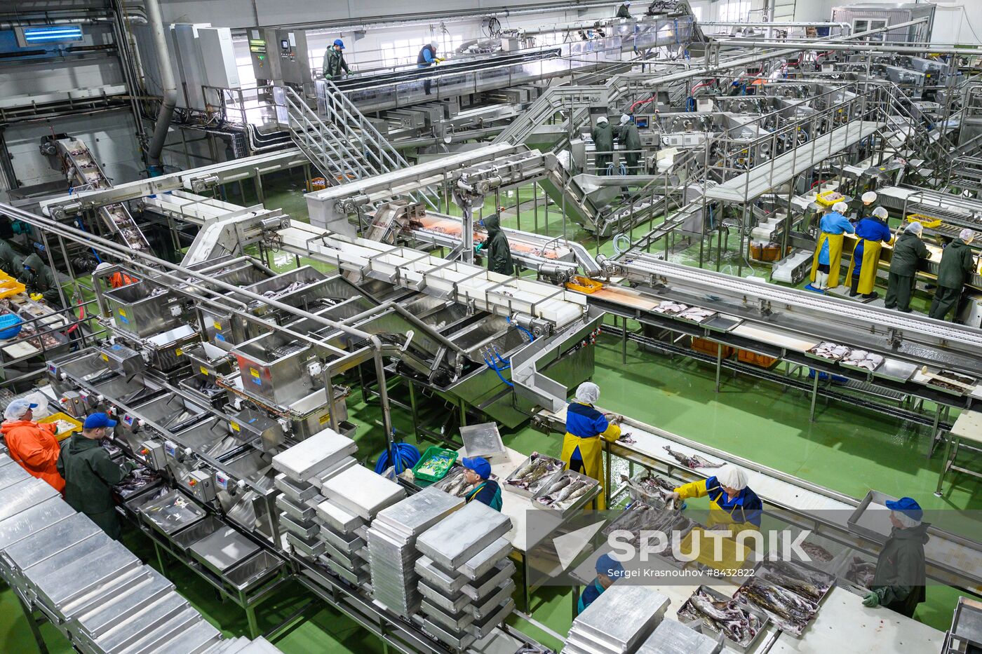 Russia Fishing Industry