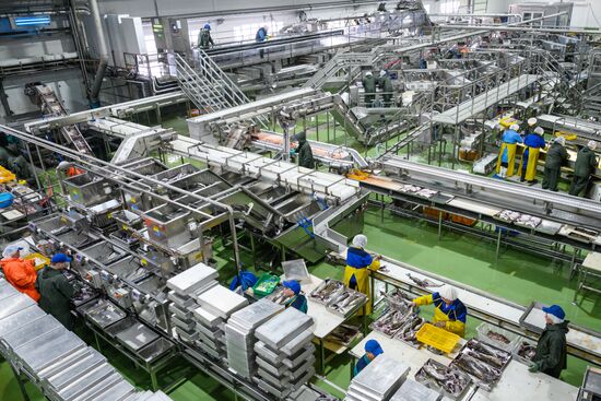 Russia Fishing Industry