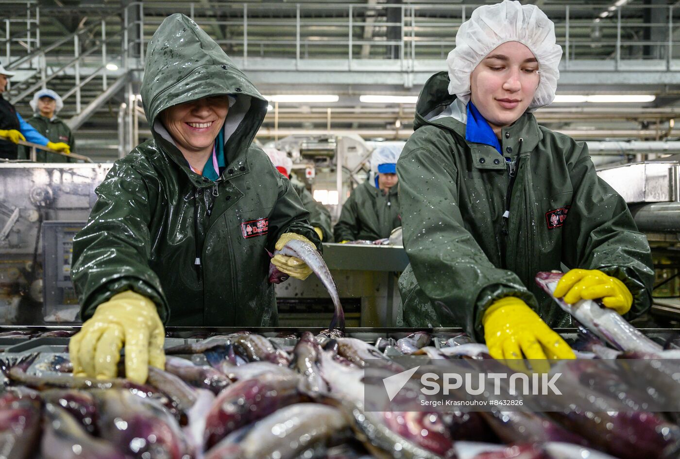 Russia Fishing Industry