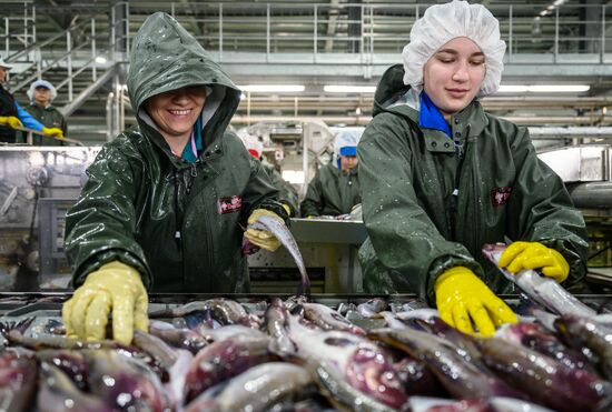 Russia Fishing Industry