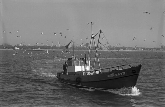 Felucca Sadko fishing offshore
