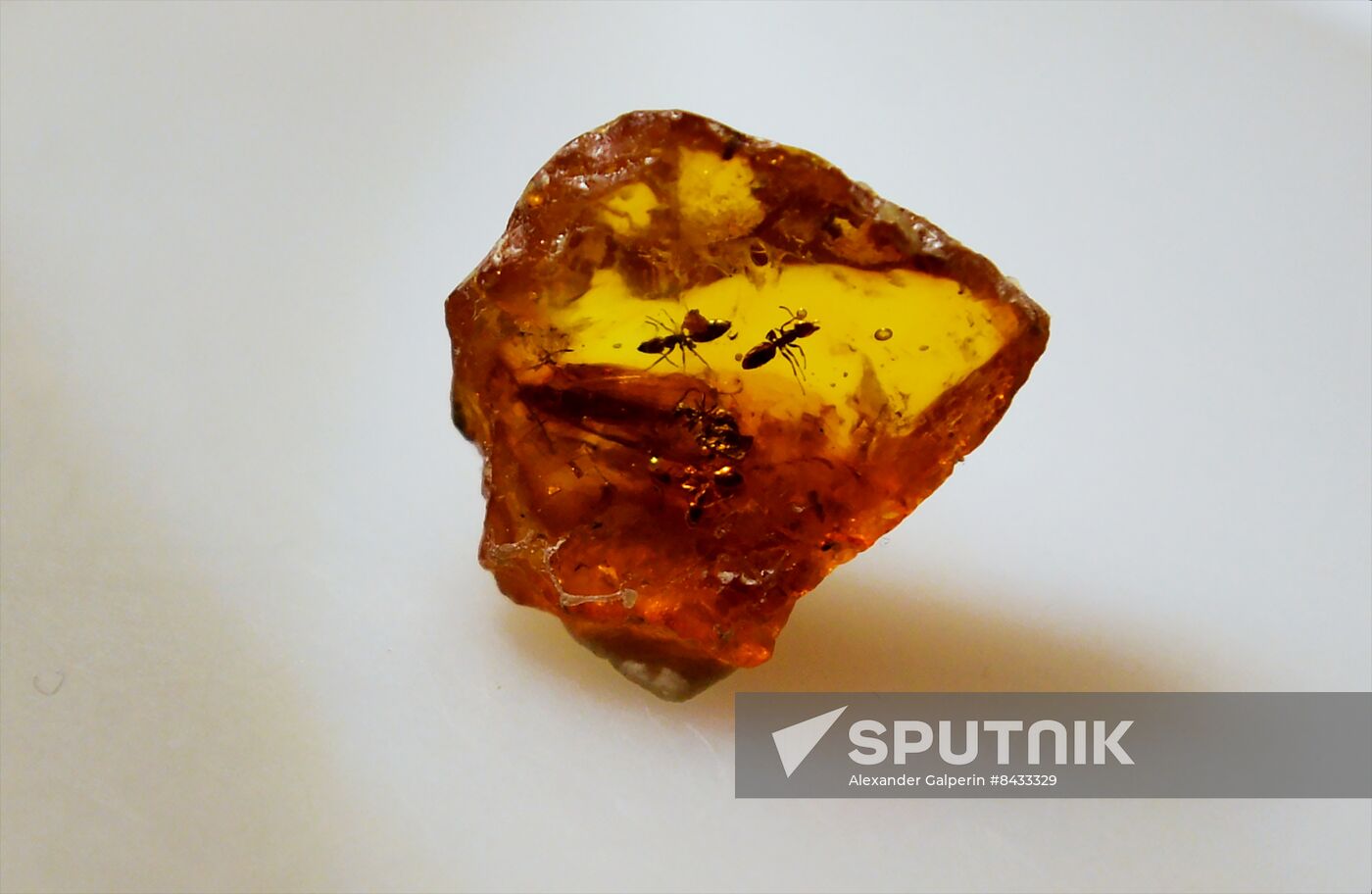 Russia Museum Amber Room