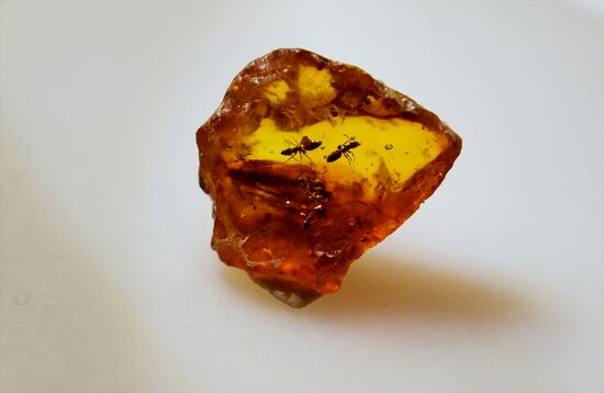 Russia Museum Amber Room