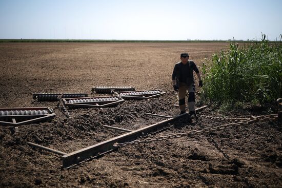 Russia Agriculture Sowing