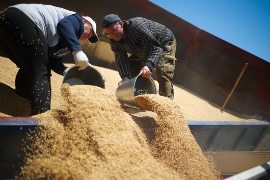 Russia Agriculture Sowing