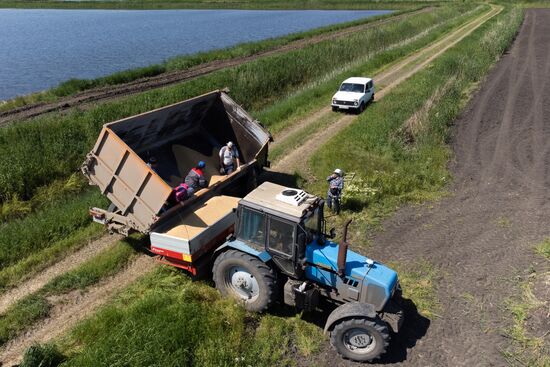 Russia Agriculture Sowing