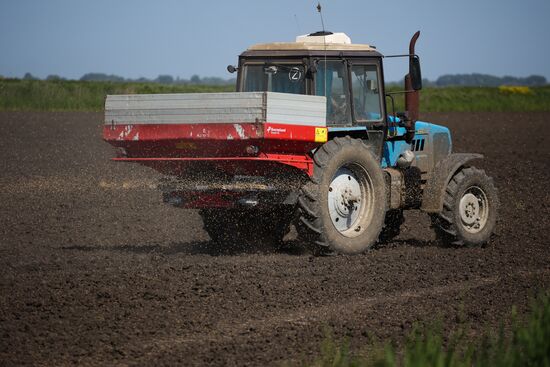 Russia Agriculture Sowing