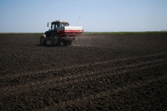 Russia Agriculture Sowing