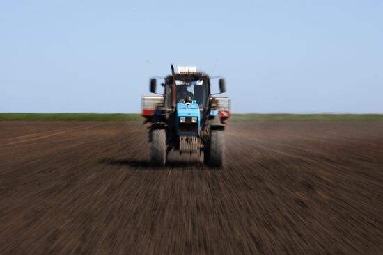 Russia Agriculture Sowing