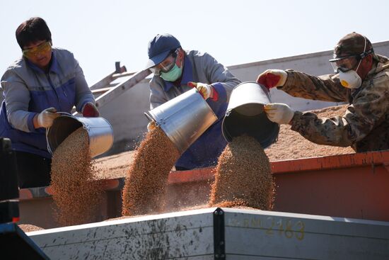 Russia Agriculture Sowing