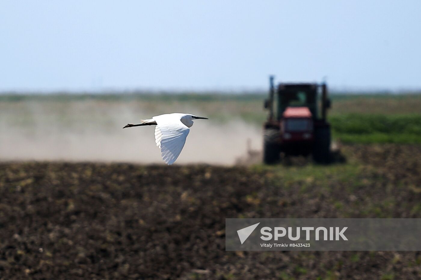 Russia Agriculture Sowing