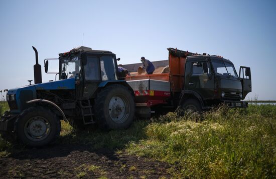 Russia Agriculture Sowing