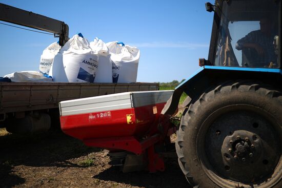 Russia Agriculture Sowing