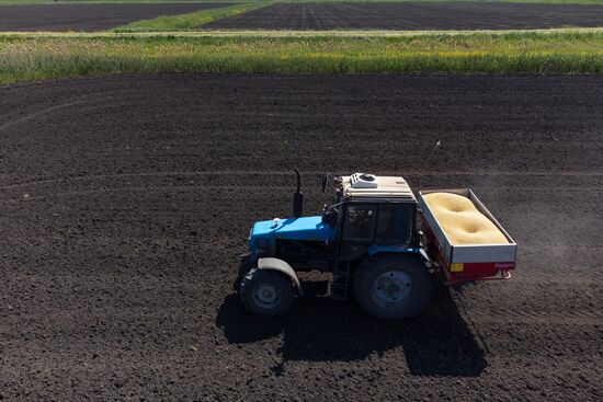 Russia Agriculture Sowing