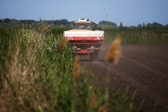 Russia Agriculture Sowing