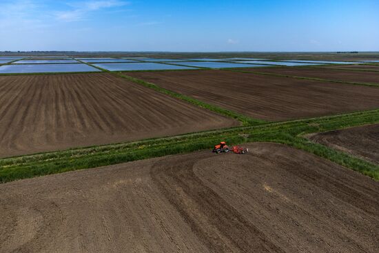 Russia Agriculture Sowing