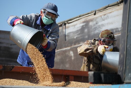 Russia Agriculture Sowing