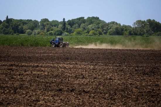 Russia Agriculture Sowing