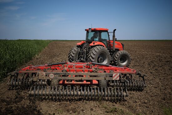 Russia Agriculture Sowing