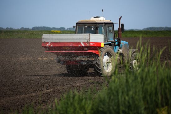 Russia Agriculture Sowing