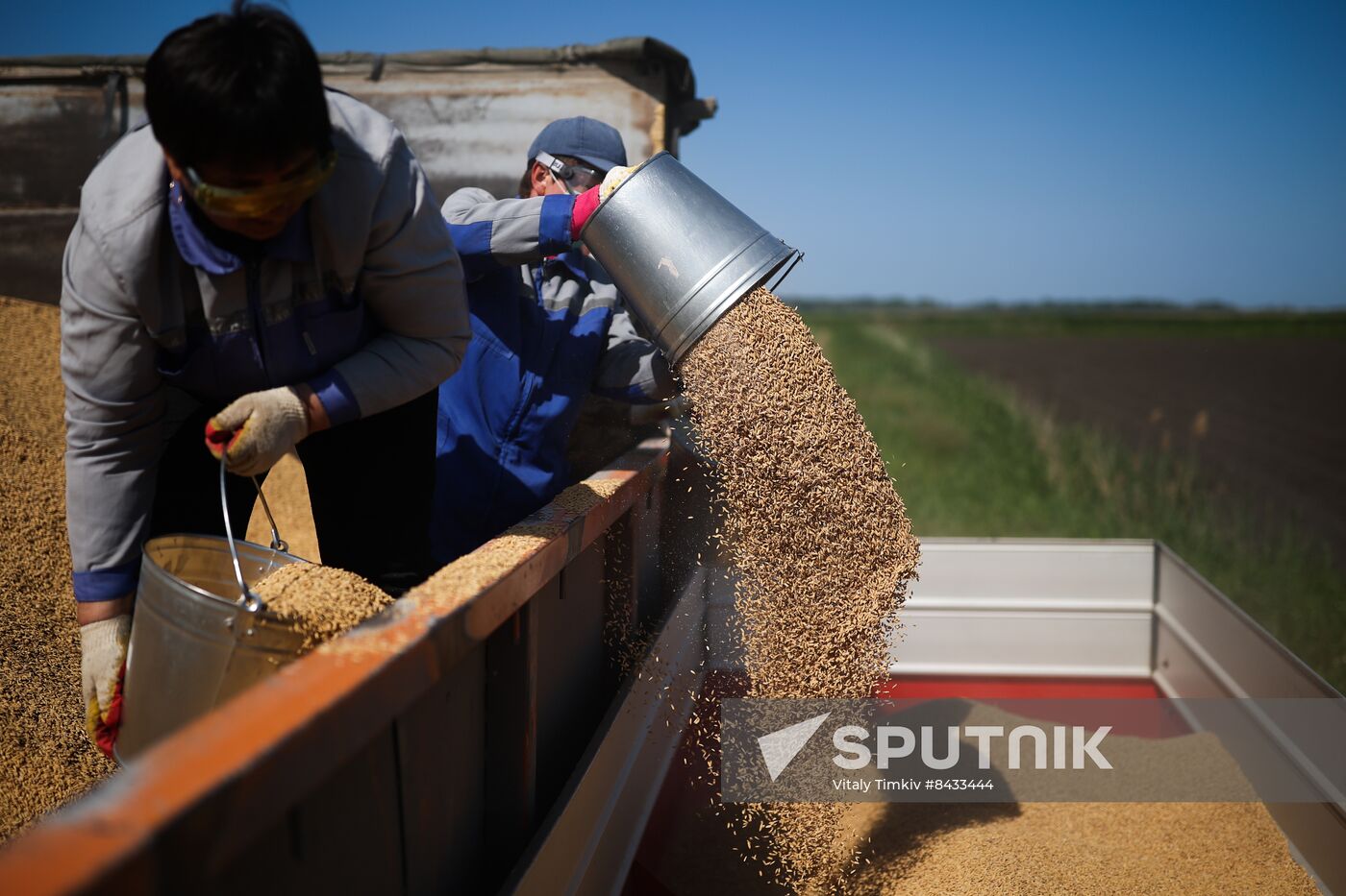 Russia Agriculture Sowing