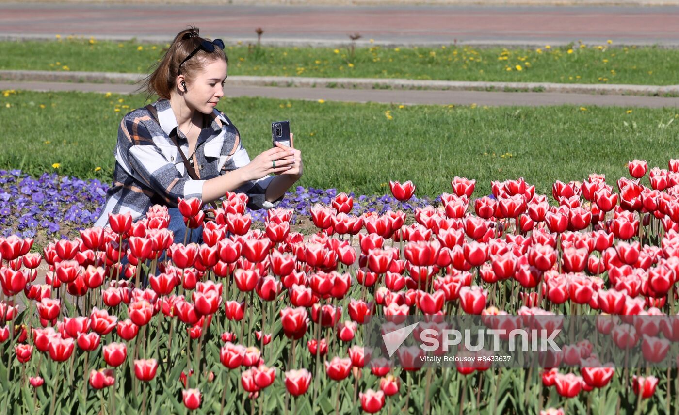 Russia Blooming Season