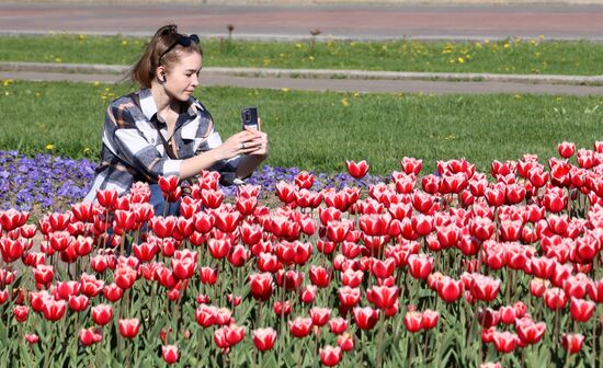 Russia Blooming Season