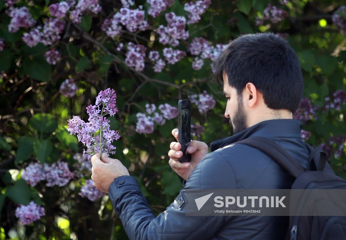 Russia Blooming Season