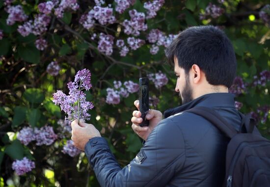 Russia Blooming Season