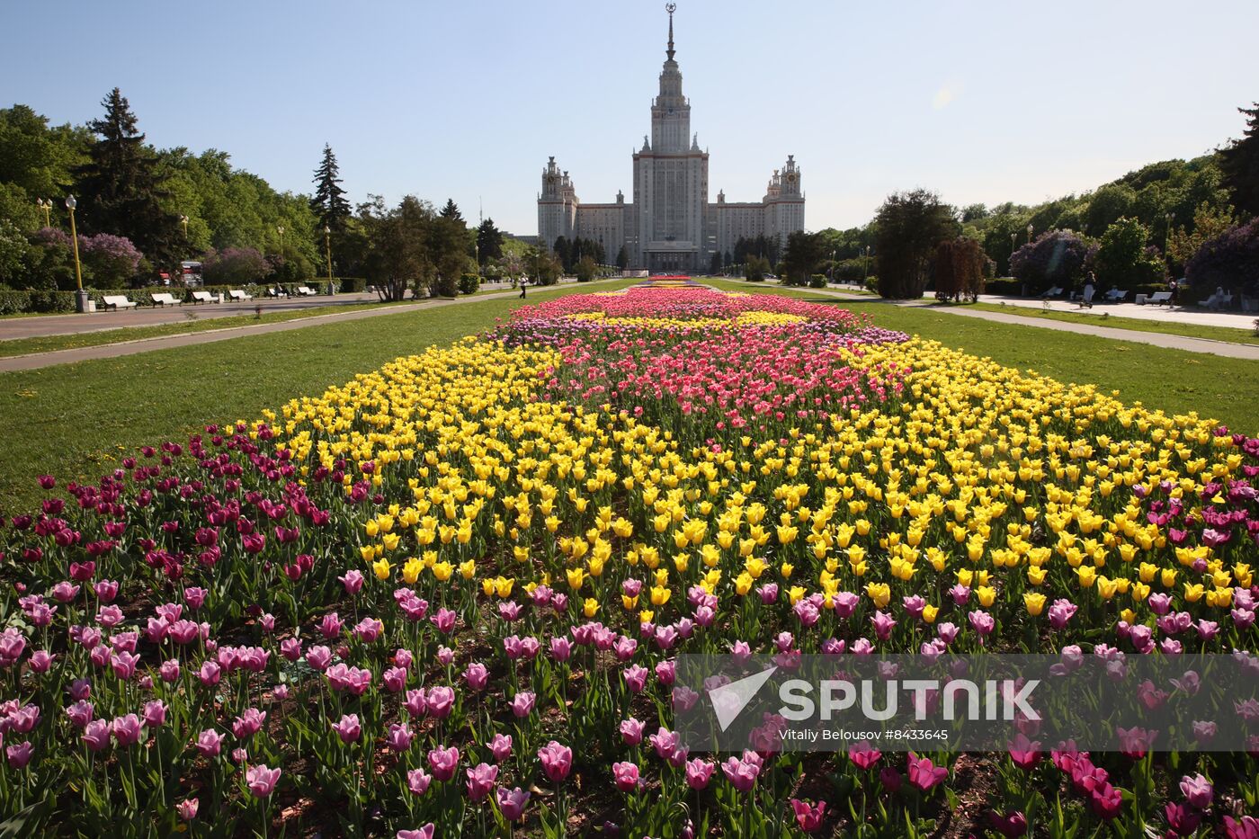 Russia Blooming Season
