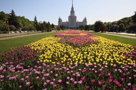 Russia Blooming Season