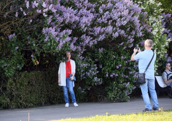 Russia Blooming Season