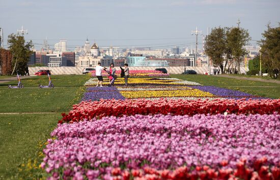 Russia Blooming Season