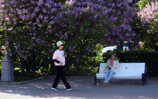 Russia Blooming Season