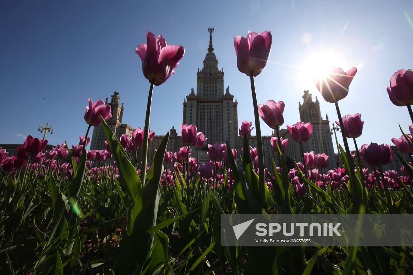 Russia Blooming Season