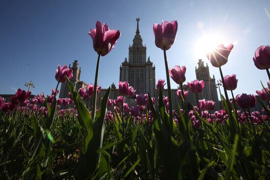 Russia Blooming Season