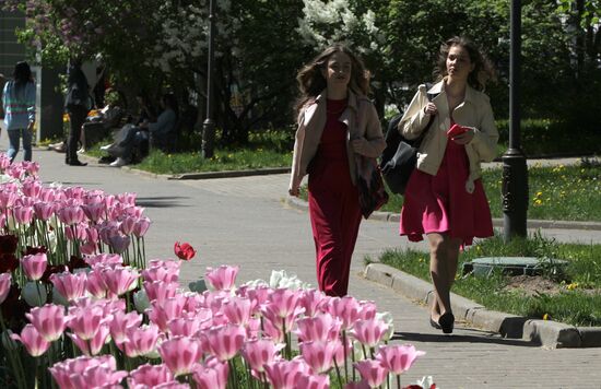 Russia Blooming Season