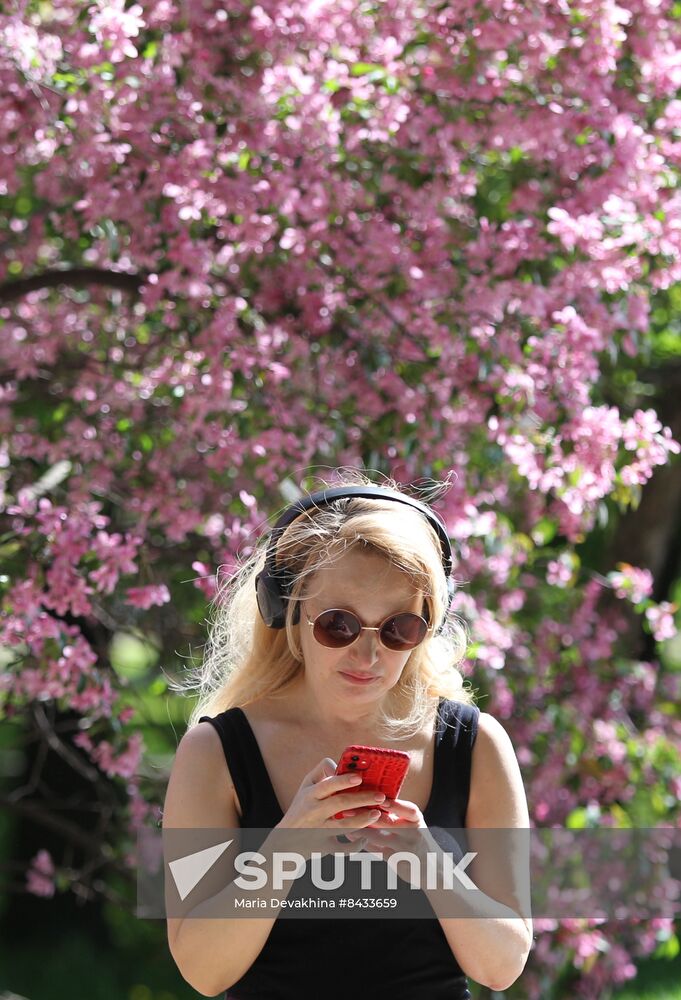 Russia Blooming Season