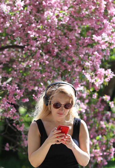 Russia Blooming Season