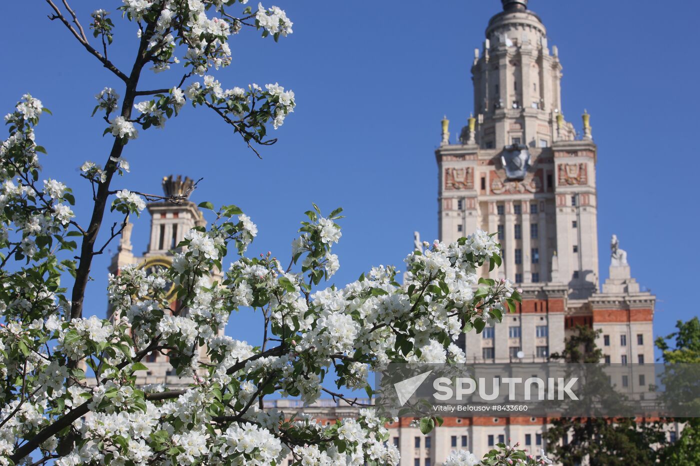 Russia Blooming Season