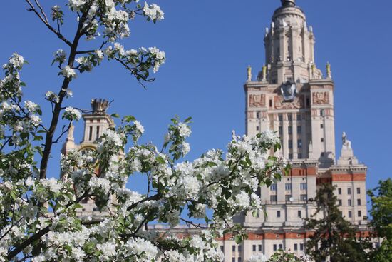 Russia Blooming Season