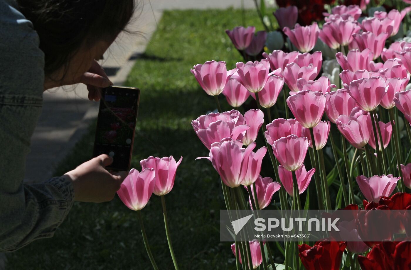 Russia Blooming Season