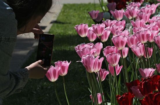 Russia Blooming Season