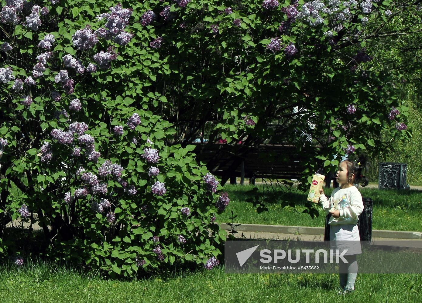 Russia Blooming Season