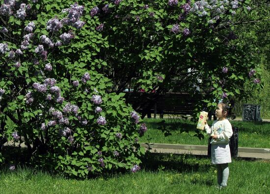 Russia Blooming Season