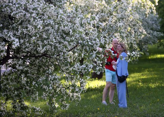 Russia Blooming Season