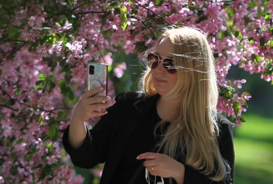 Russia Blooming Season