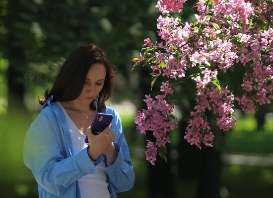 Russia Blooming Season