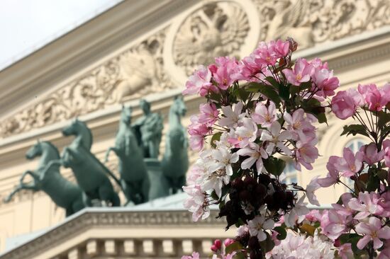 Russia Blooming Season